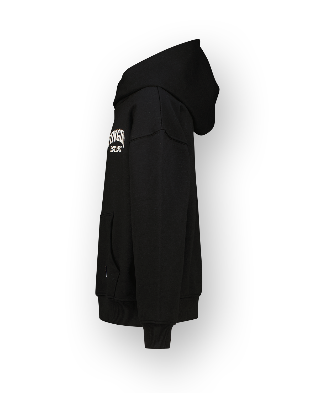 Sweater Icon-hoody
