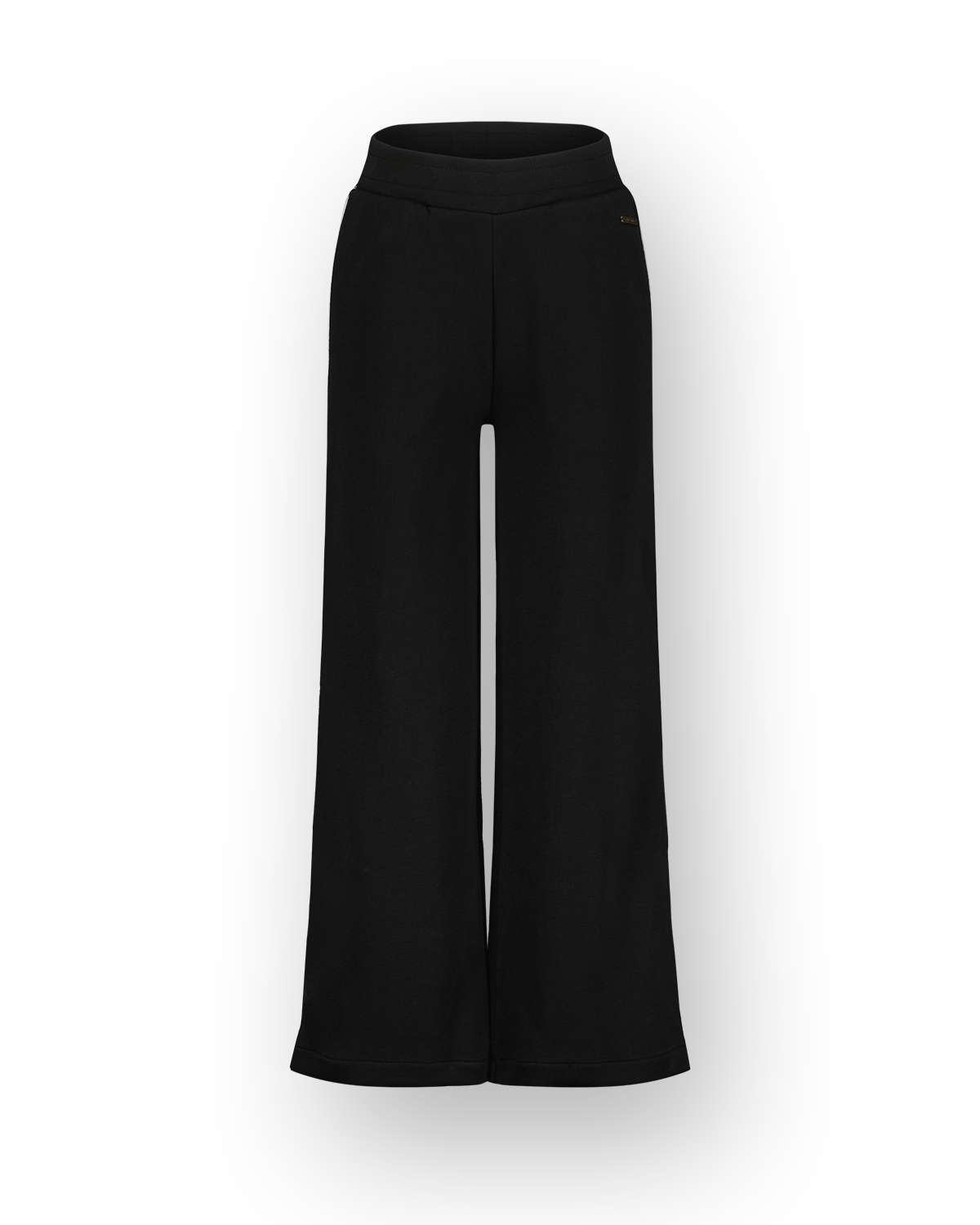 Wide leg Pants Sonita