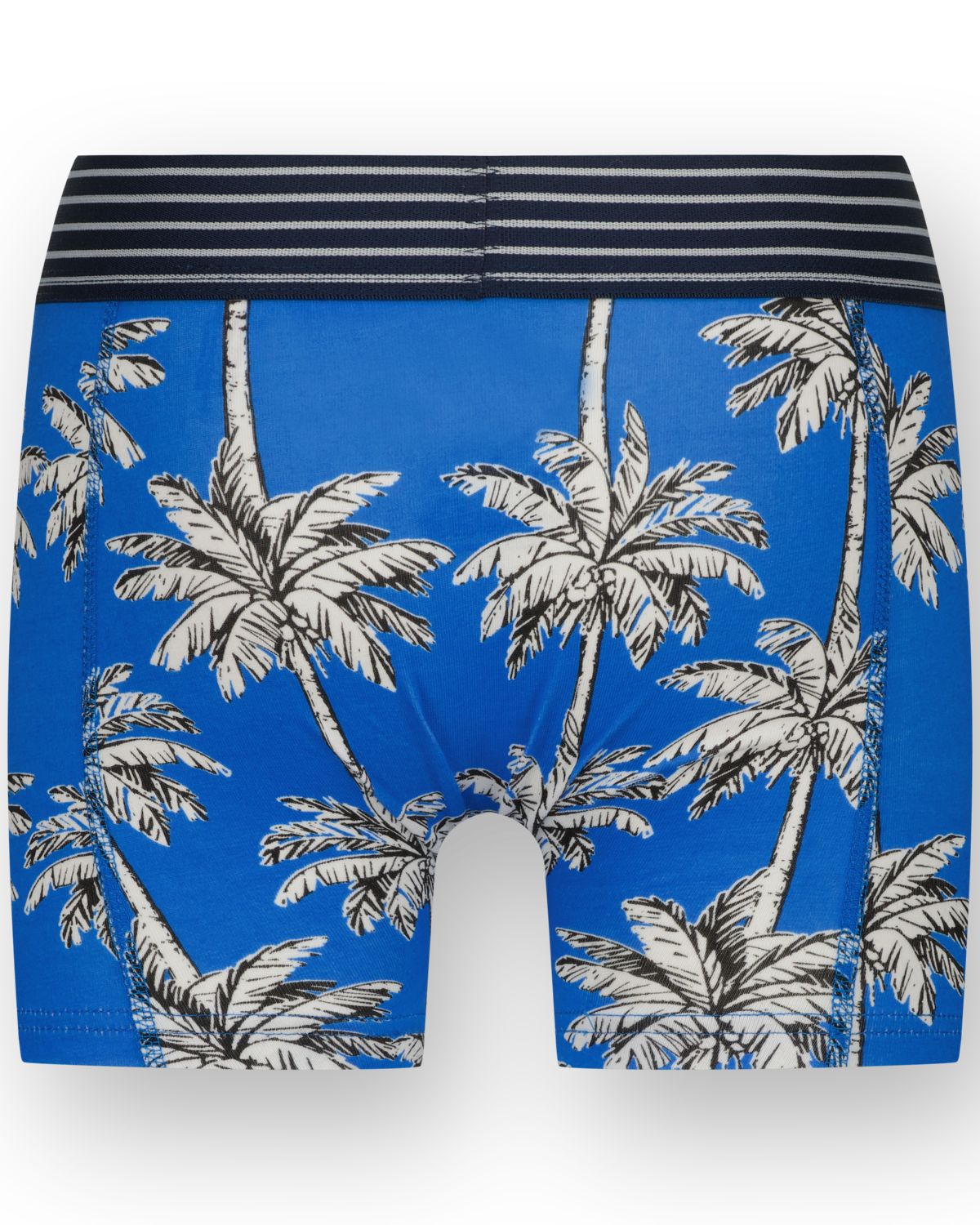 Boxer B251 palm 3-pack