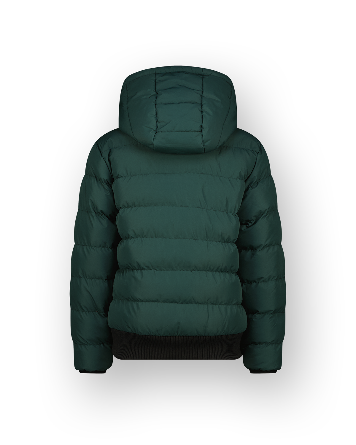Hooded Jas Tafreo