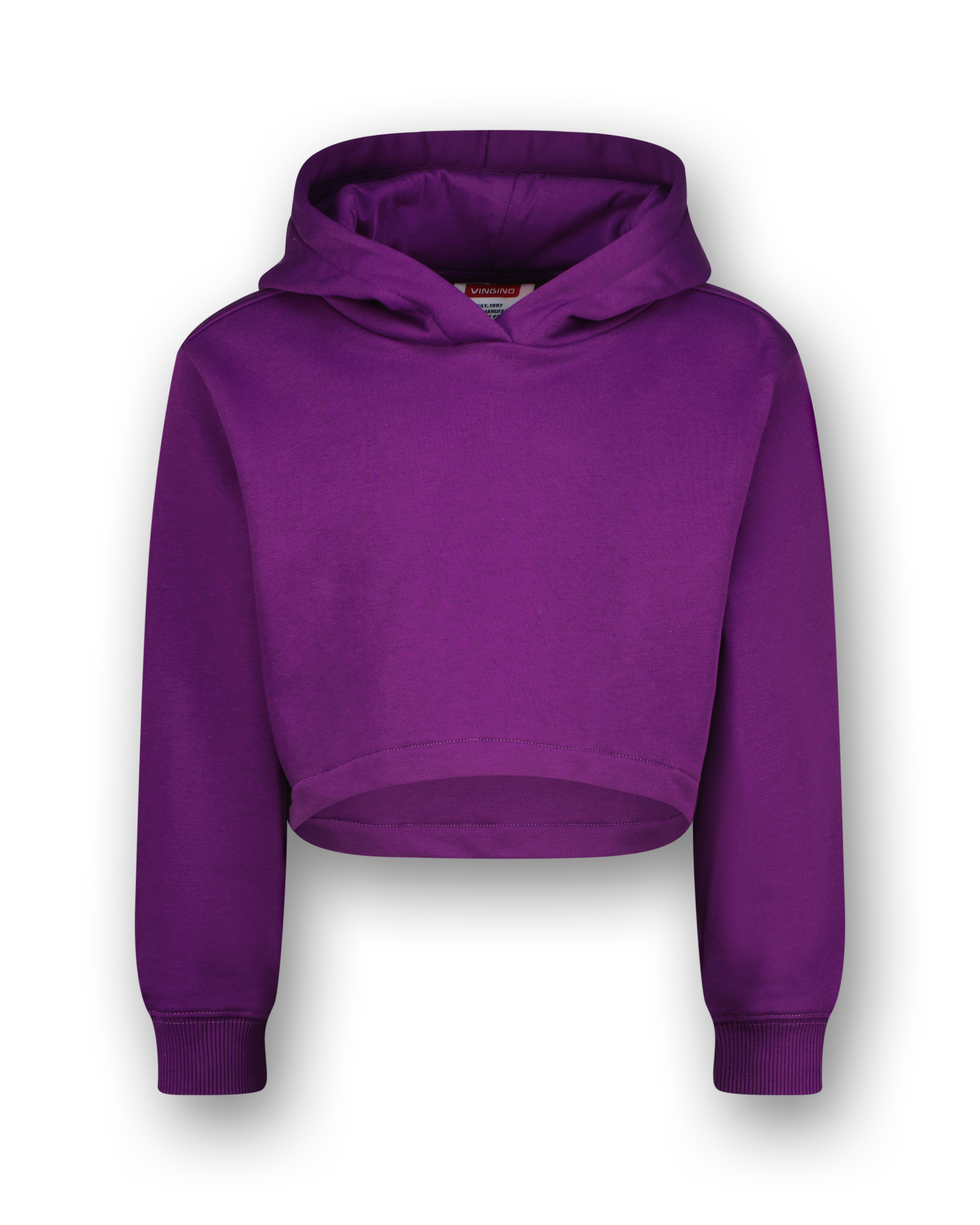 Hoody G-basic-sweat-hoody Crop