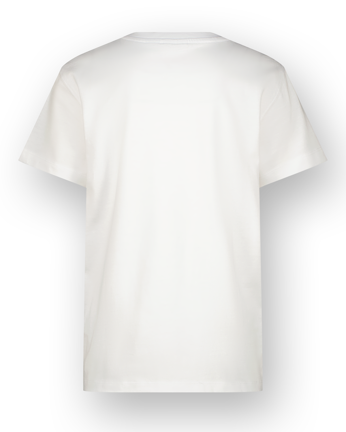 T-shirt Hamerica