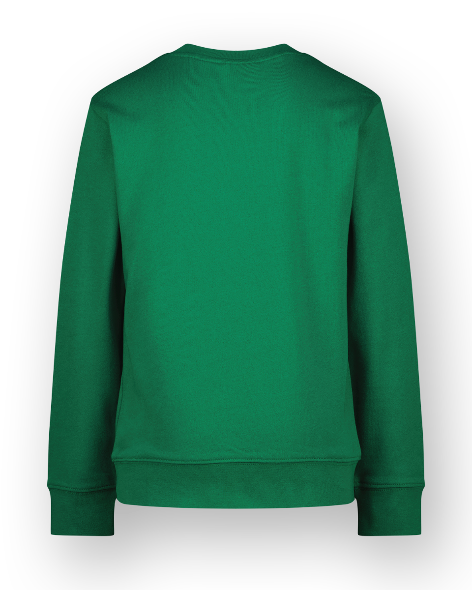 Sweater Ness