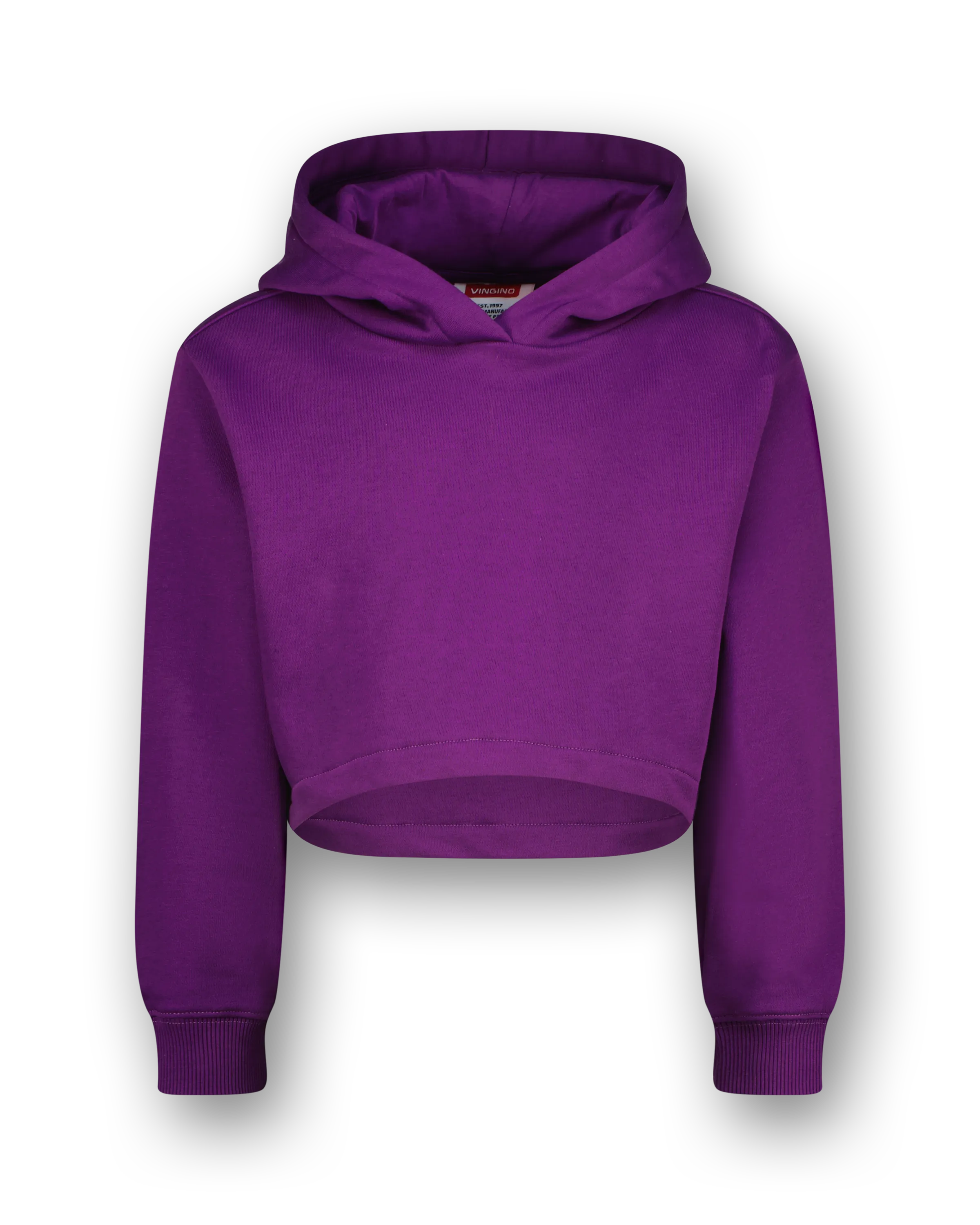 Hoody G-basic-sweat-hoody Crop