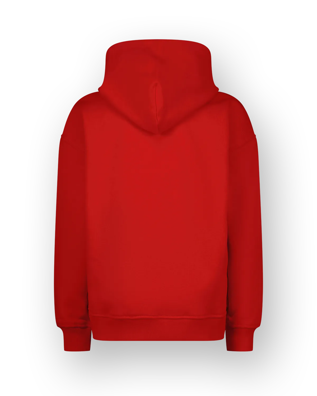 Sweater Icon-hoody