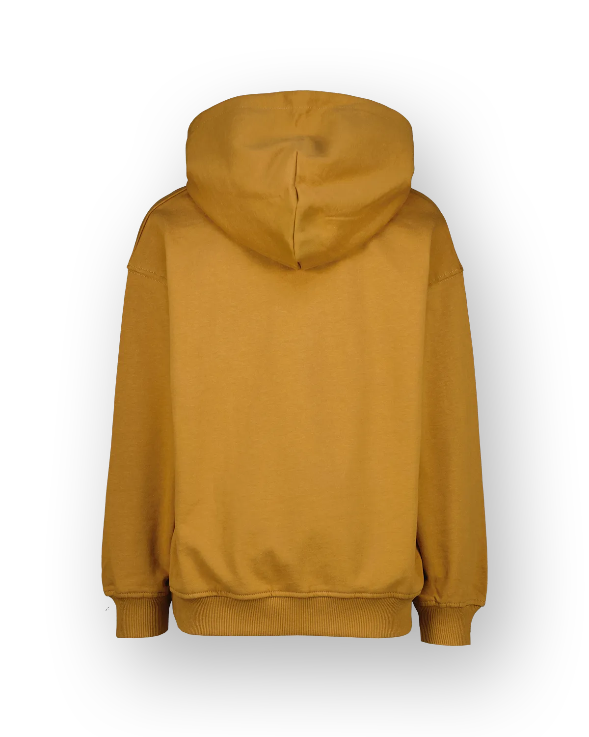 Sweater Icon-hoody