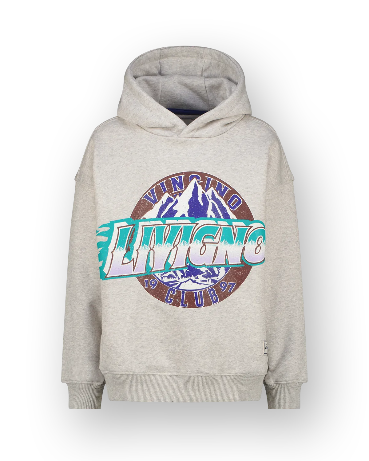 Jongens Hoodie Noldi | Grijs