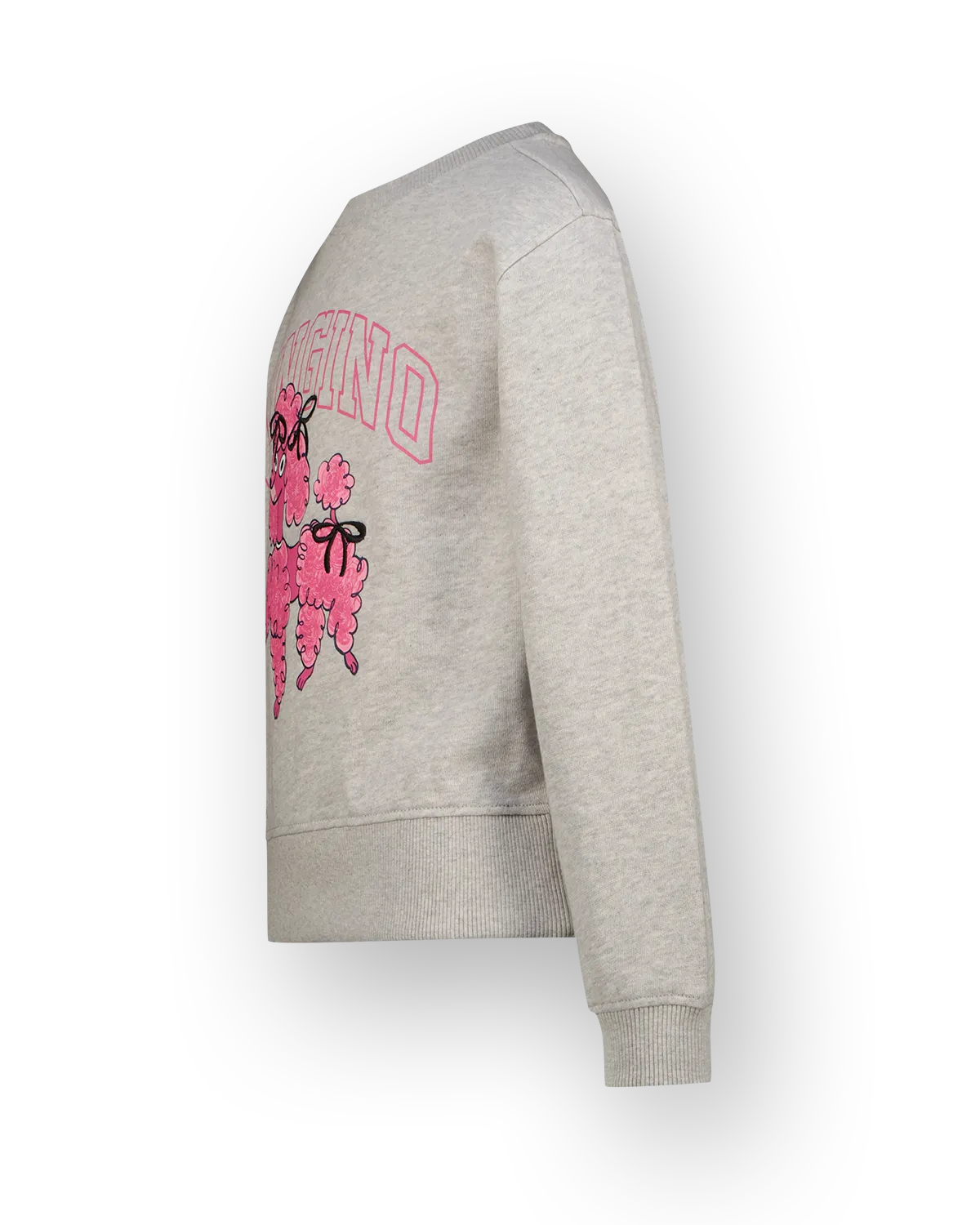 Meisjes Sweater Nirone | Grijs