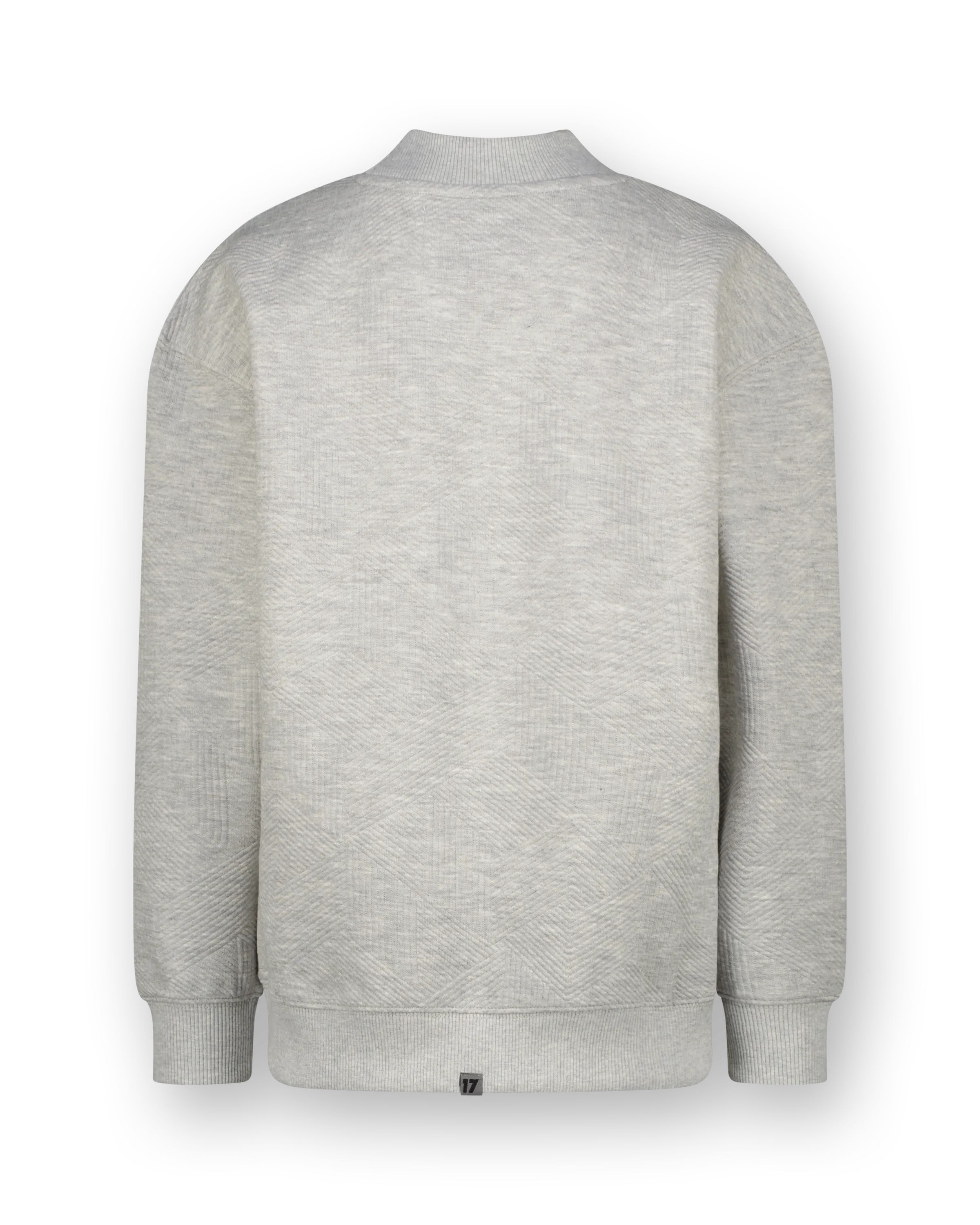Jongens Sweater Nasu | Grijs