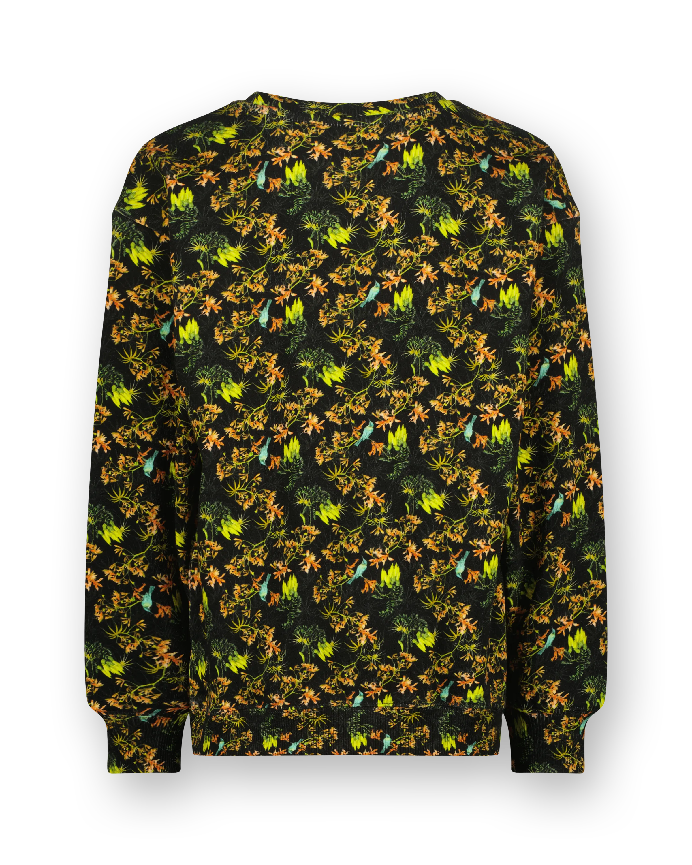 Crew neck Sweater Nisato