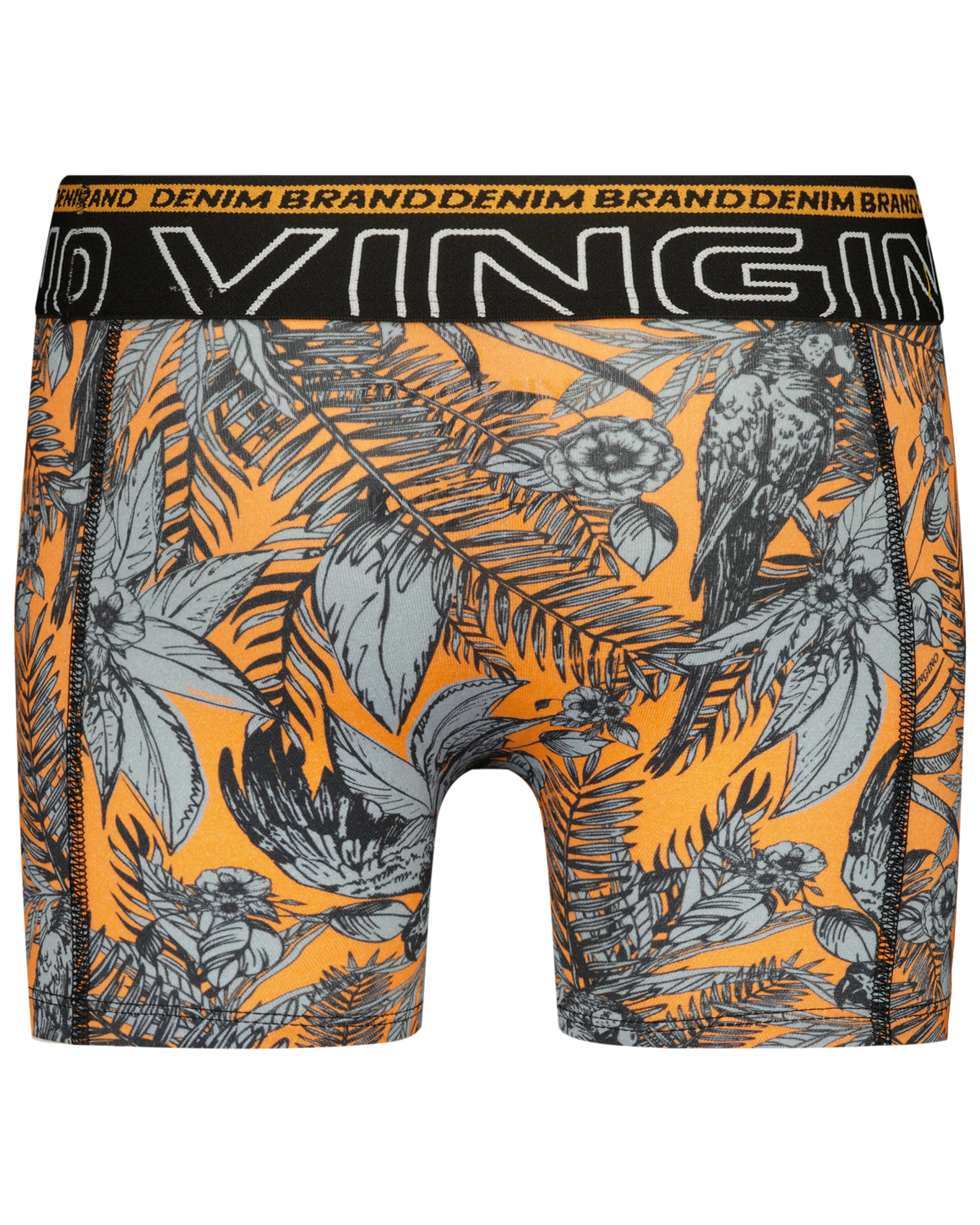 Boxershorts B-241-10 Black Leaf 2 Pack