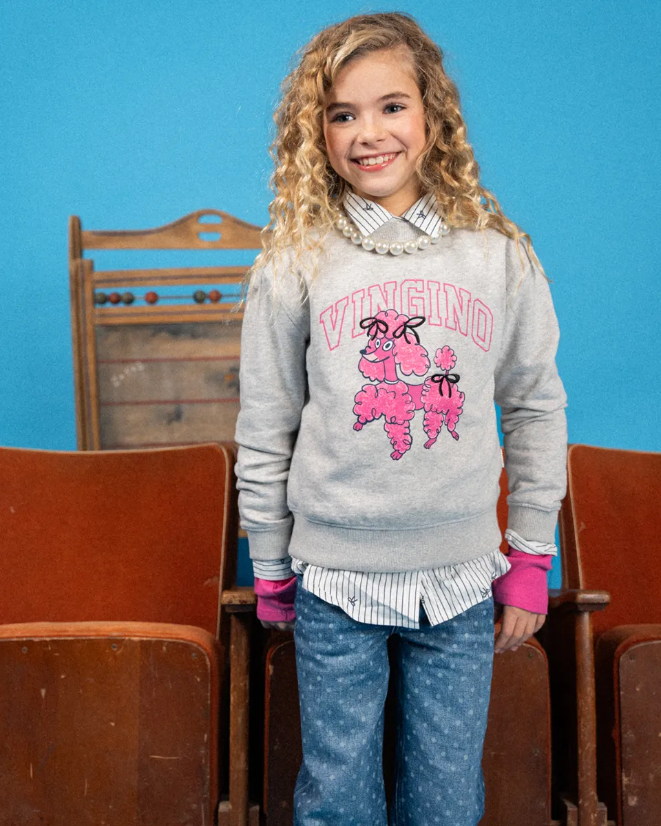 Meisjes Sweater Nirone | Grijs