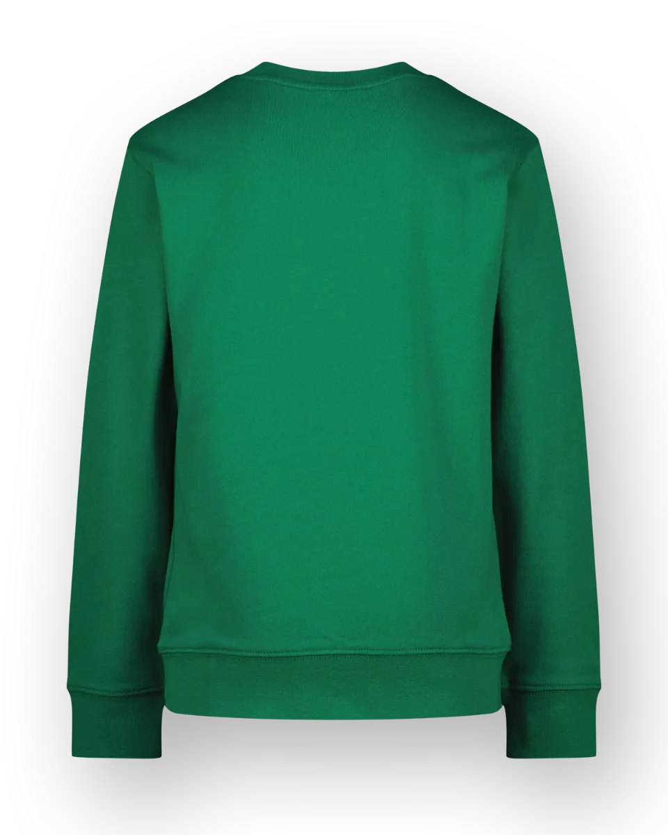 Sweater Ness