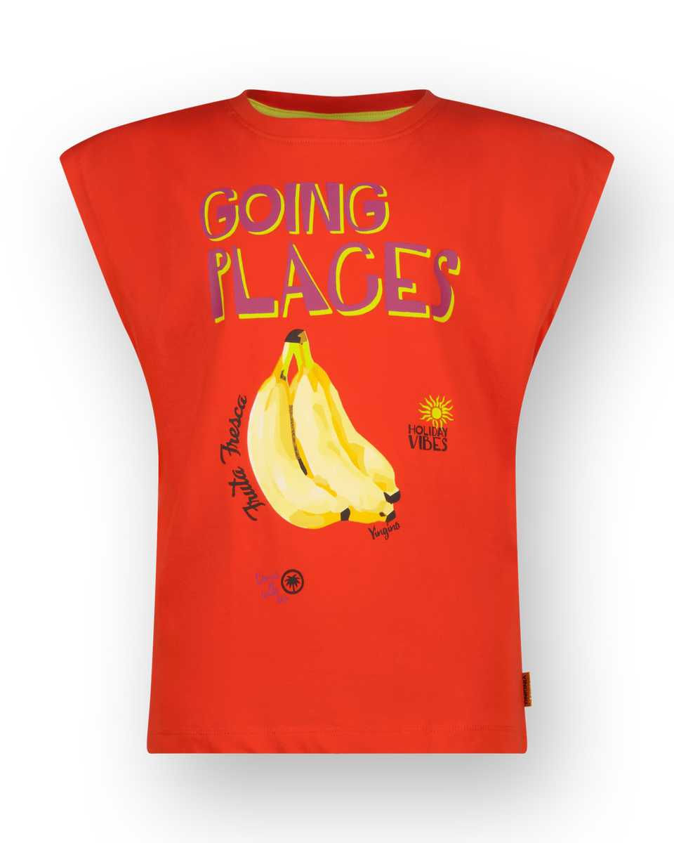 T-Shirt Holisa