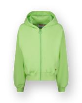 Hoodie Basic-Ziphoody Terry