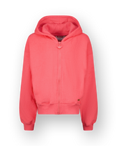 Hoodie Basic-Ziphoody Terry