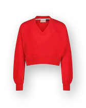 Sweater Basic-V neck