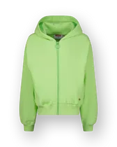 Hoodie Basic-Ziphoody Terry