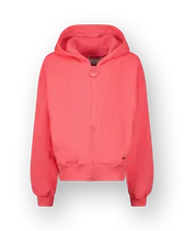 Hoodie Basic-Ziphoody Terry