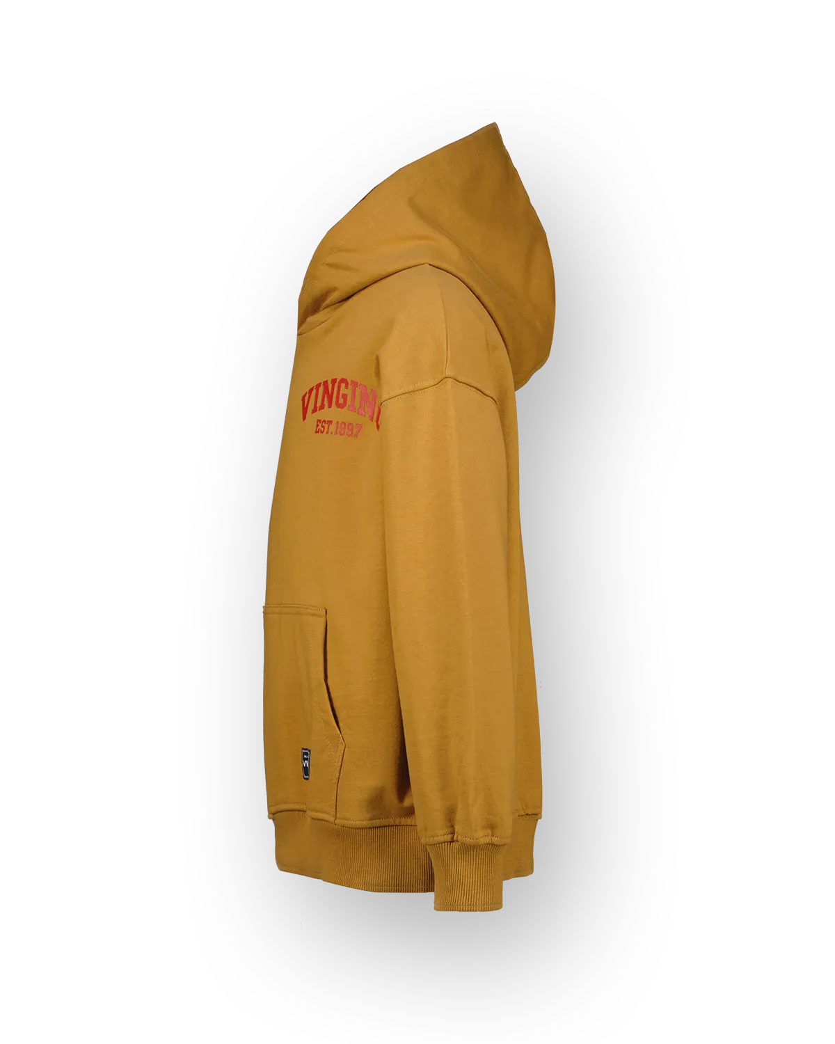 Sweater Icon-hoody