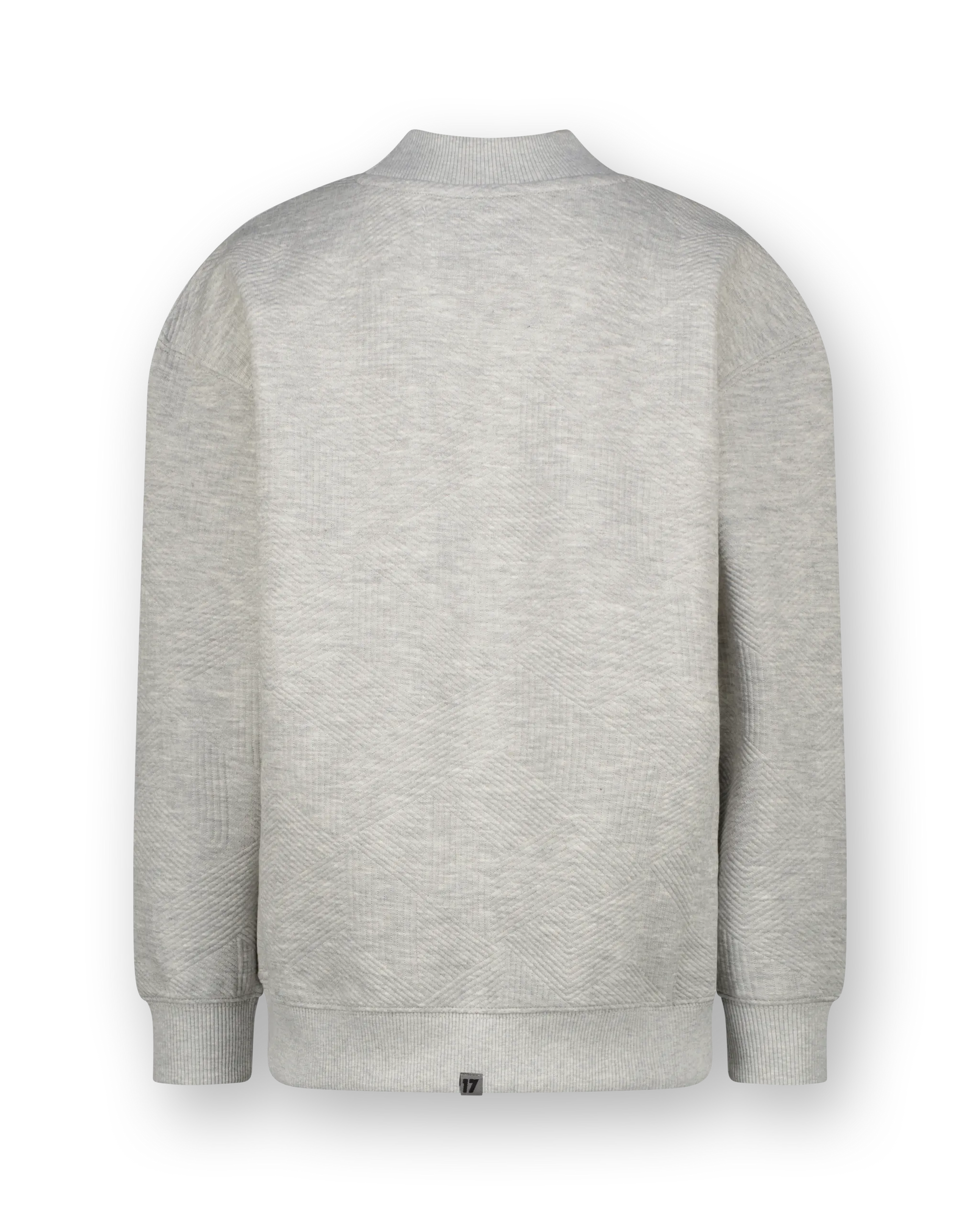 Jongens Sweater Nasu | Grijs