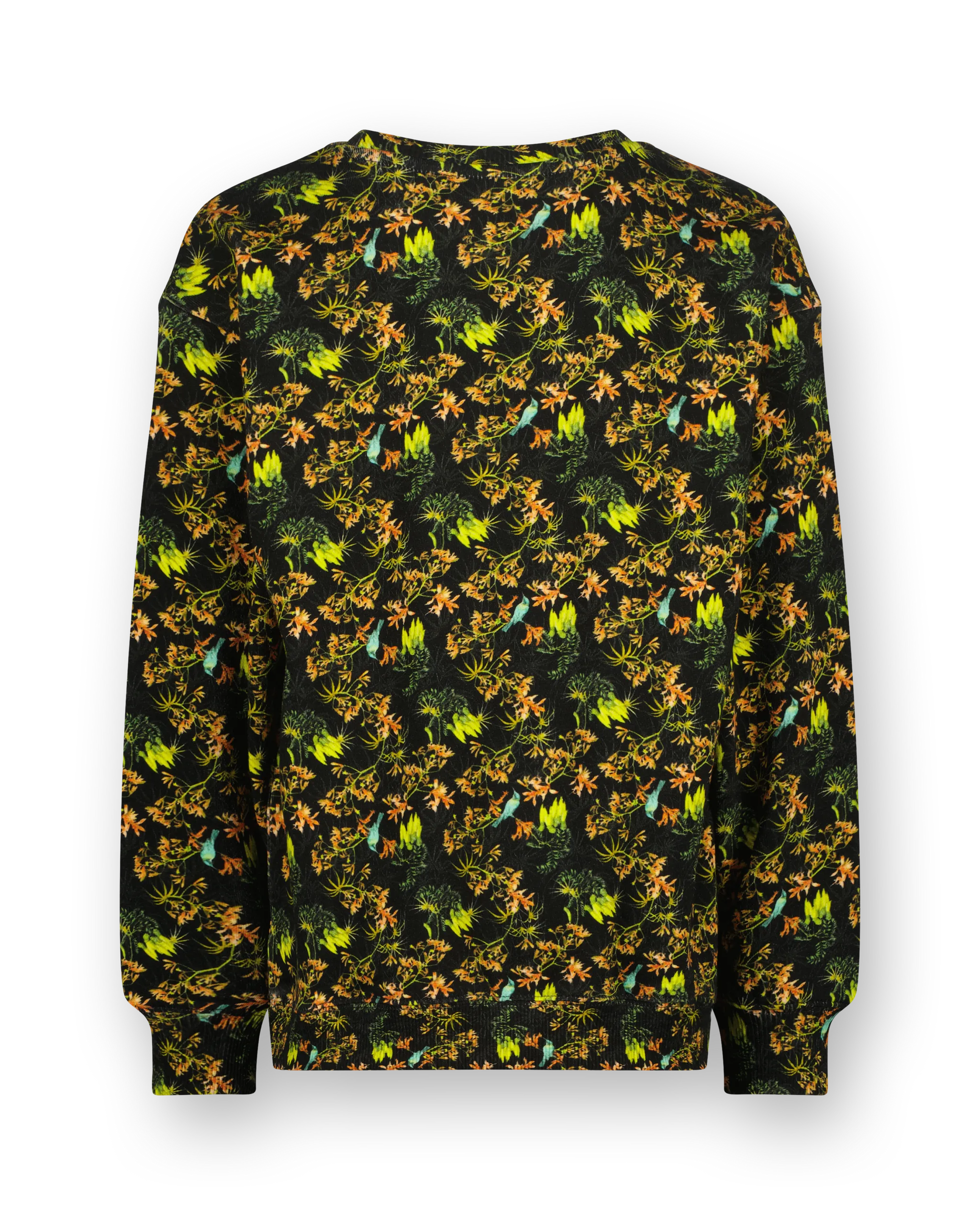 Crew neck Sweater Nisato