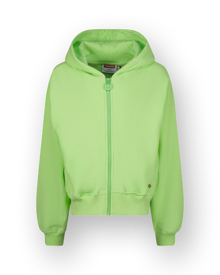 Hoody Basic-Ziphoody Terry