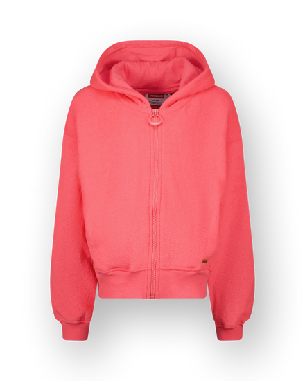 Hoody Basic-Ziphoody Terry