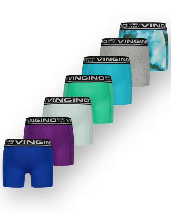 Boxer B-SO25 7 Week 7-pack