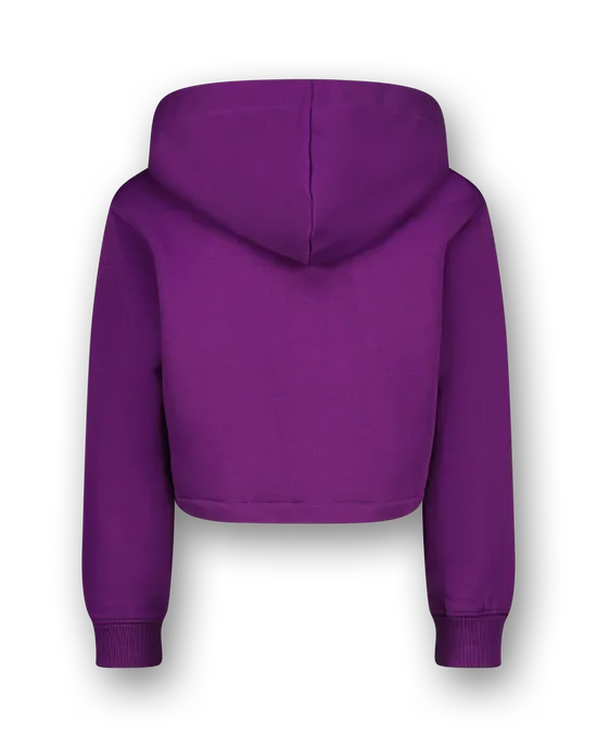 Hoodie G-basic-sweat-Hoodie Crop