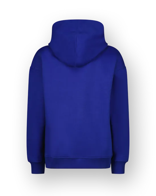 Sweater Icon-hoody