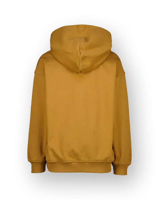 Sweater Icon-hoody