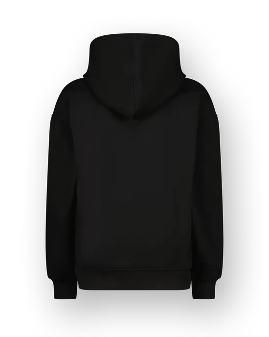 Sweater Icon-hoody
