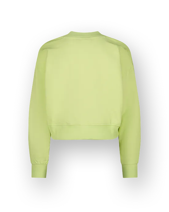 Sweater Basic-V neck