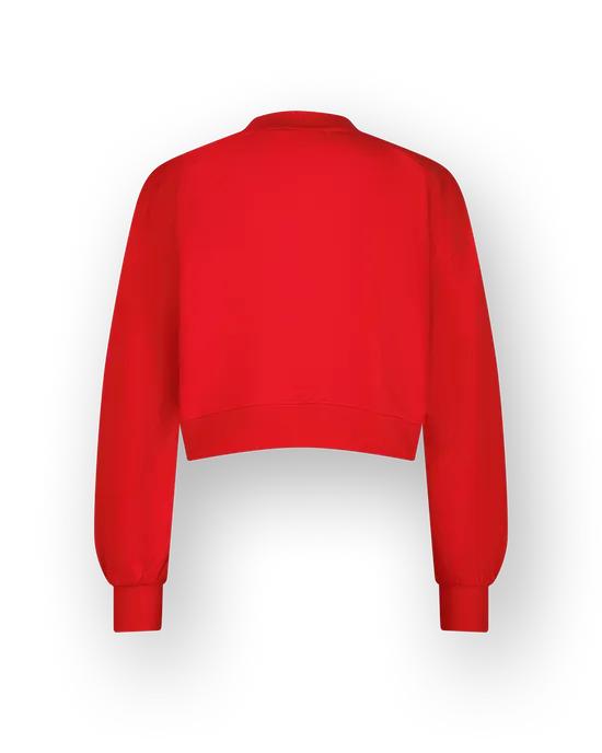 Sweater Basic-V neck