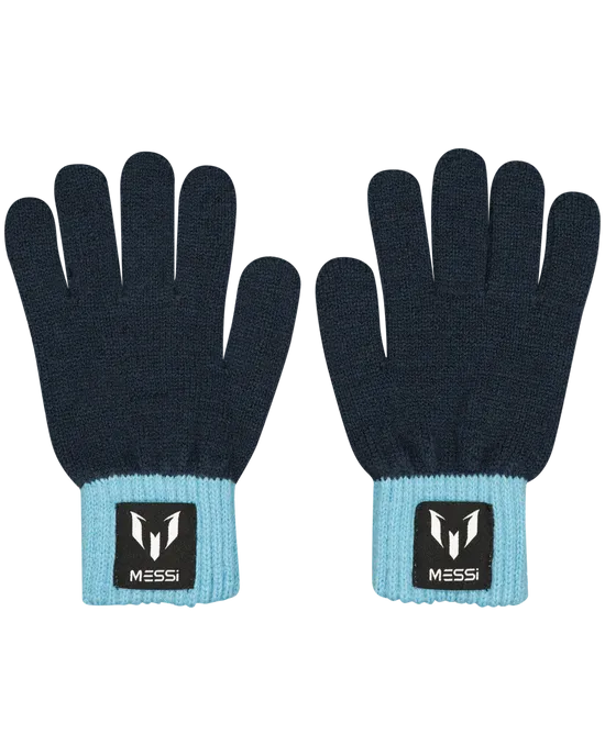 Gloves Ver