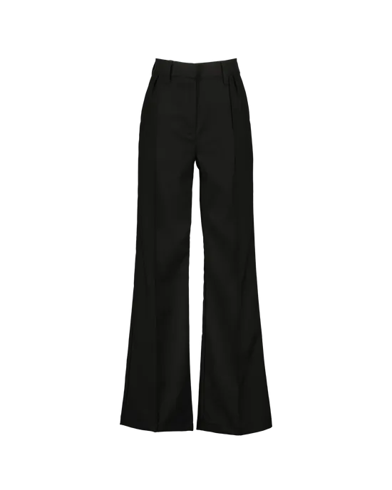Wide leg Pants Samy