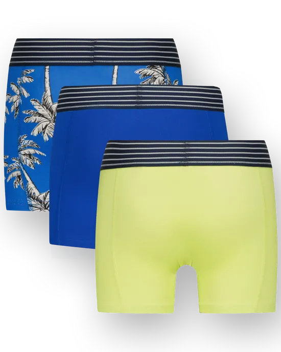 Boxer B251 palm  3-pack