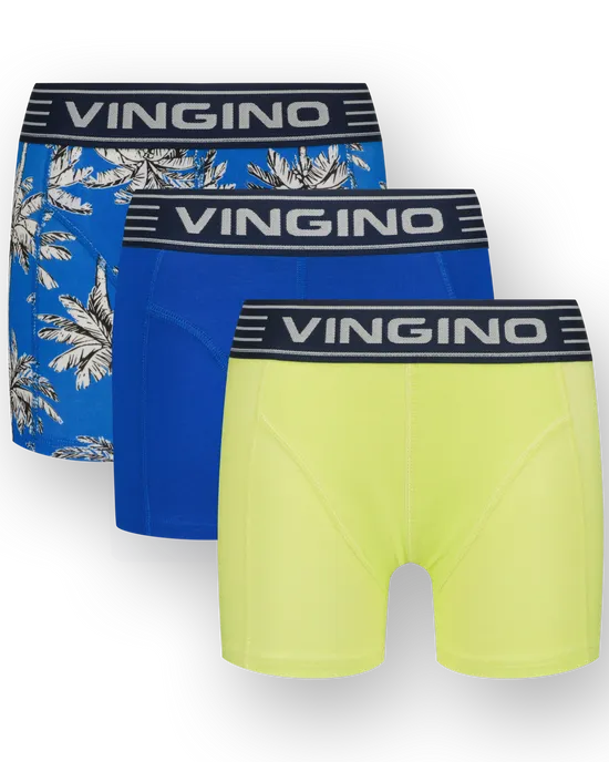 Boxer B251 palm  3-pack