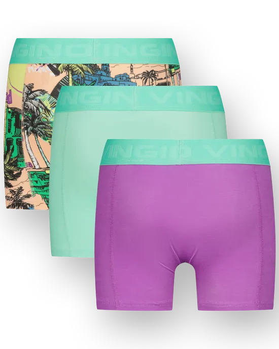Boxer B251 leaves  3-pack